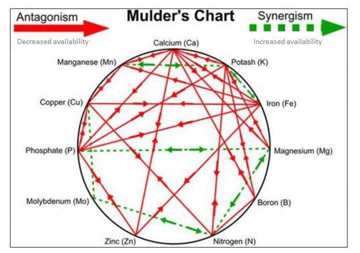 Mulders chart and soil nutrient interaction