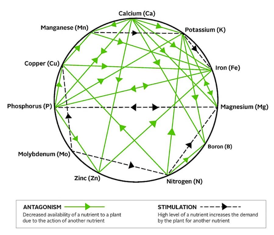Mulders chart