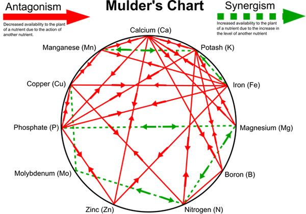 Mulders chart
