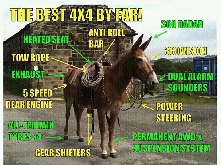 Mule 4x4