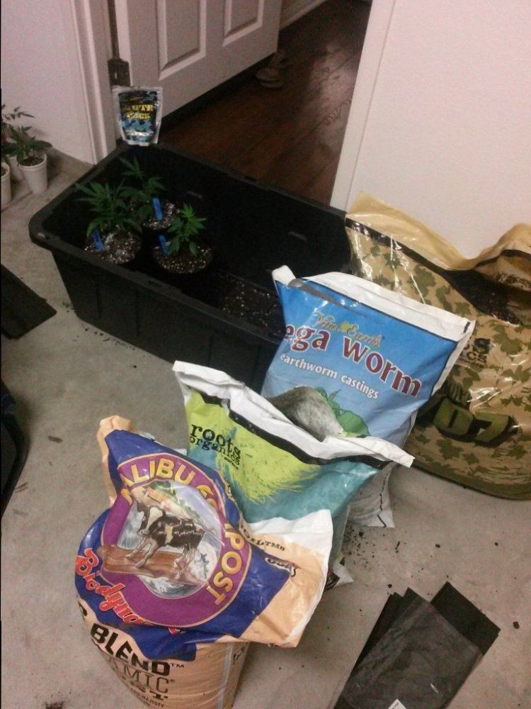Mwd going organic 2