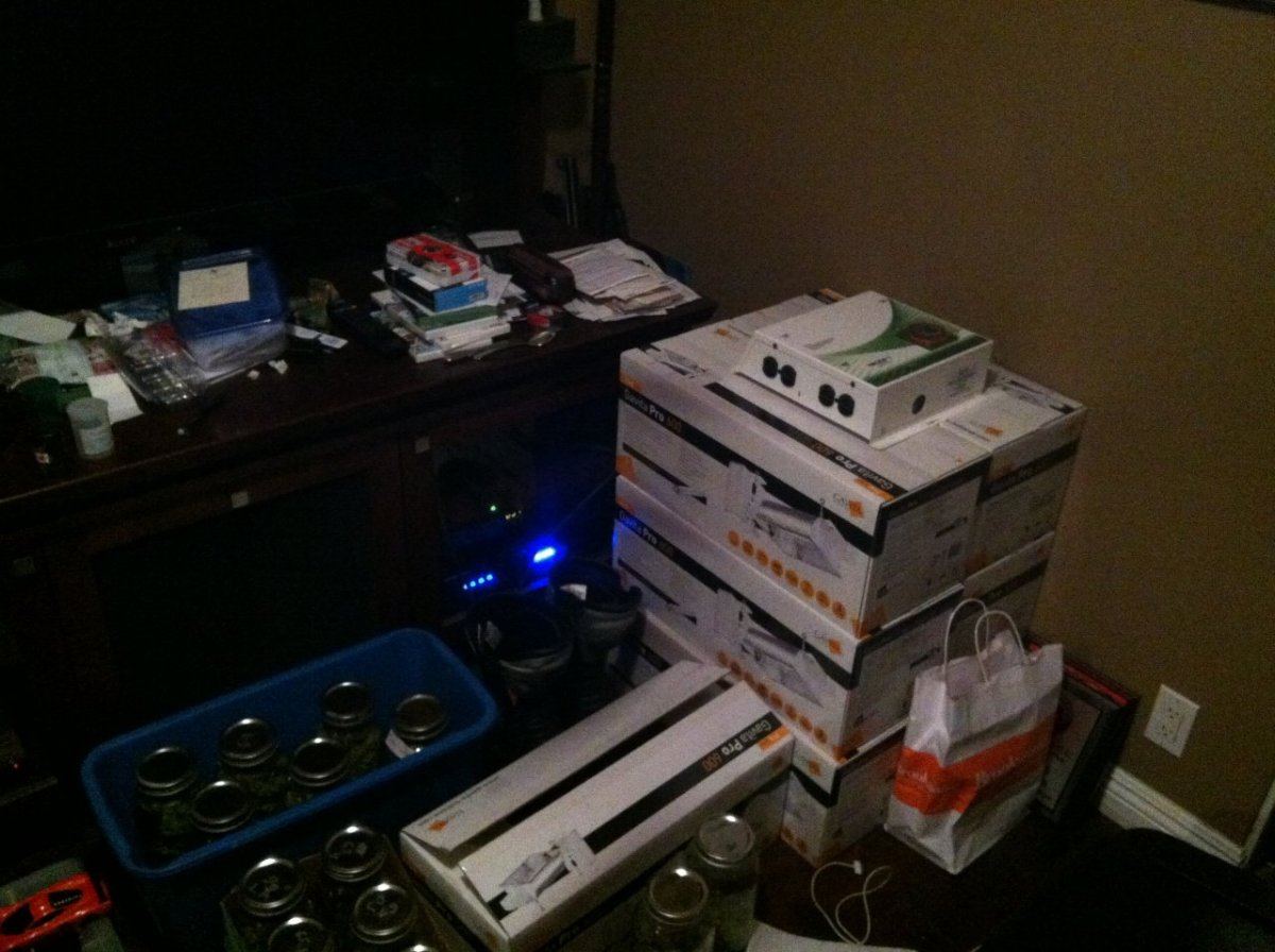 Mwd harems hideout 5