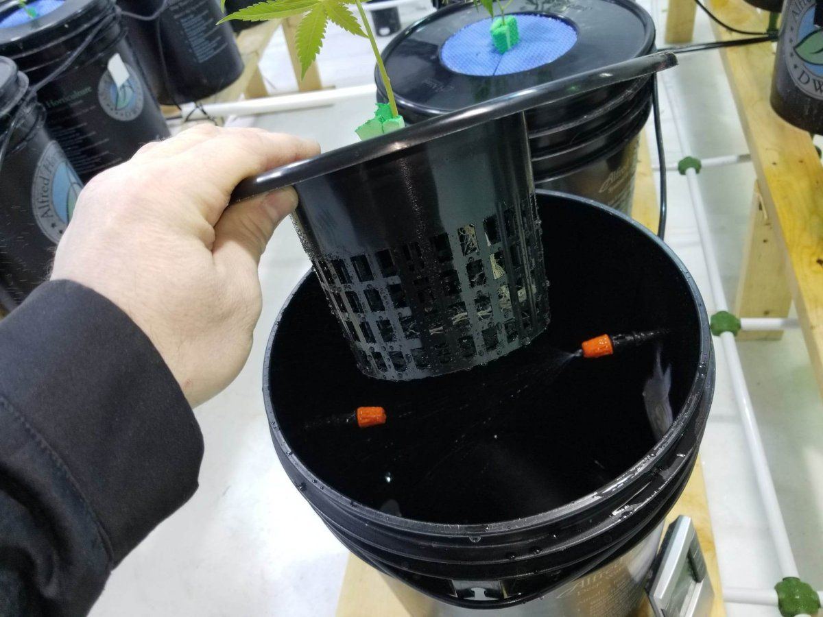 My aeroponic set up works really good not great pump advice 3