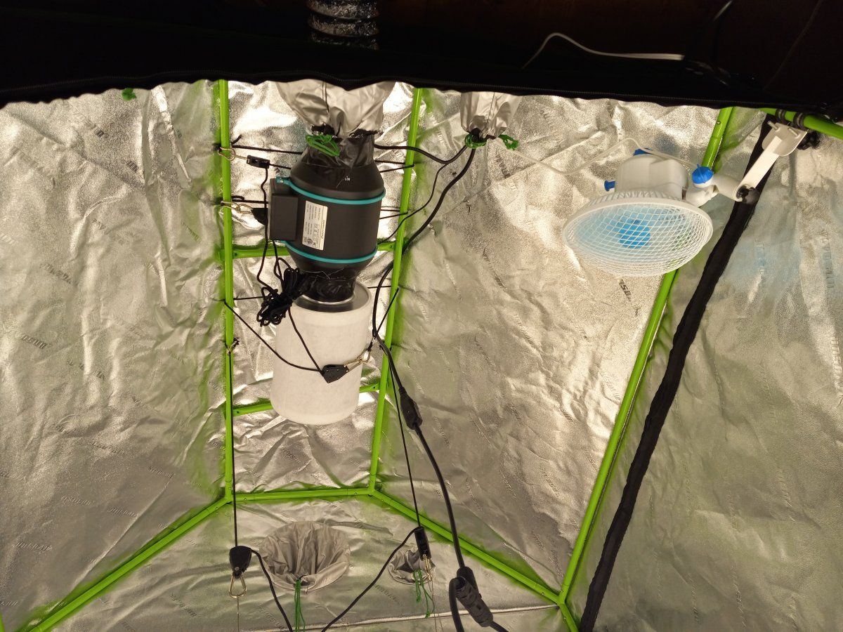 My first grow tent setup 5