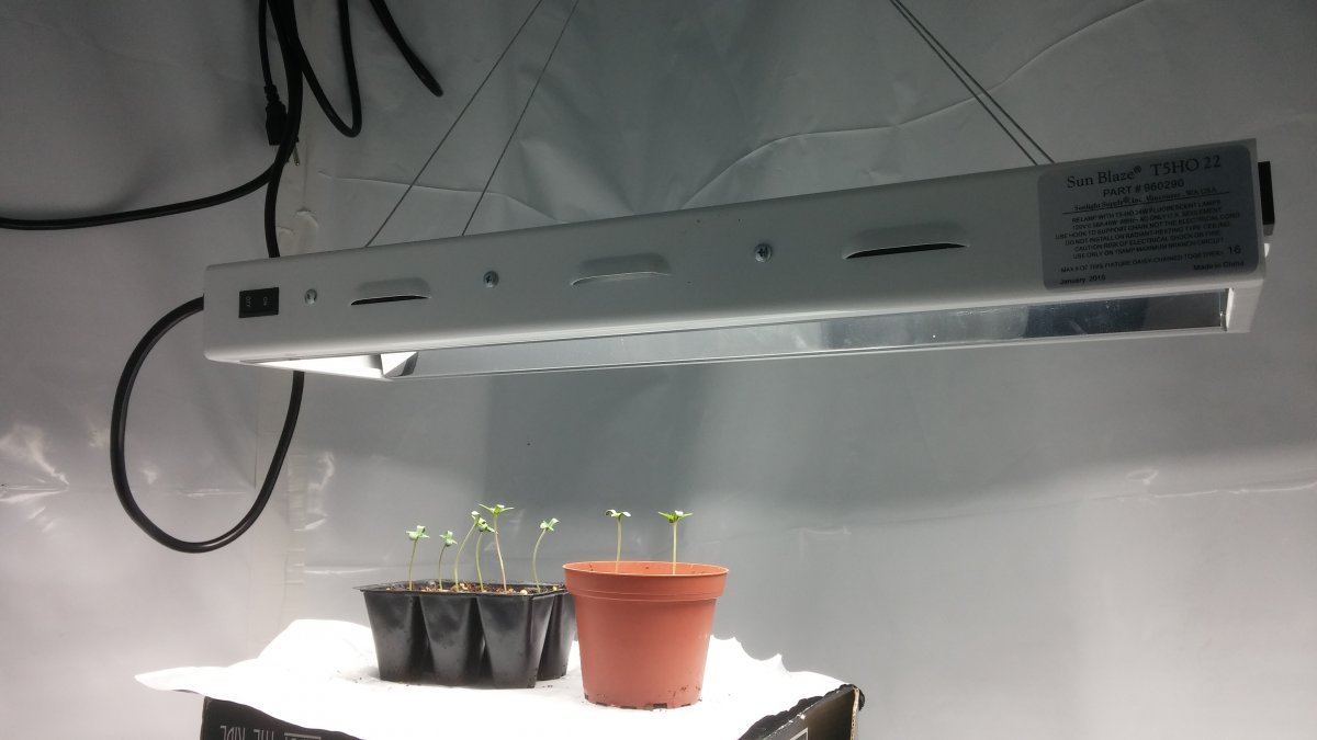 My first indoor setup pointers 2
