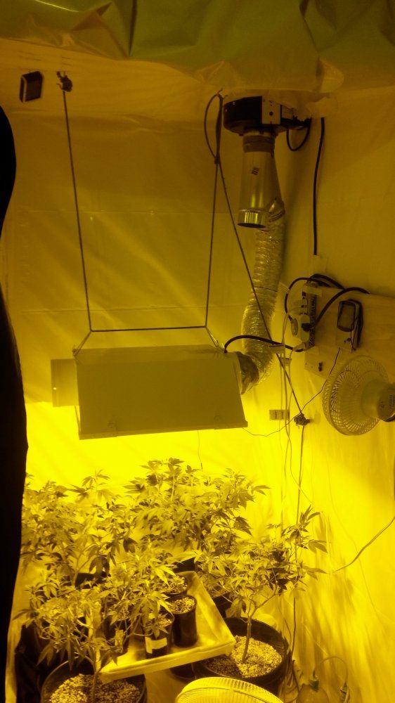 My first indoor setup pointers 3