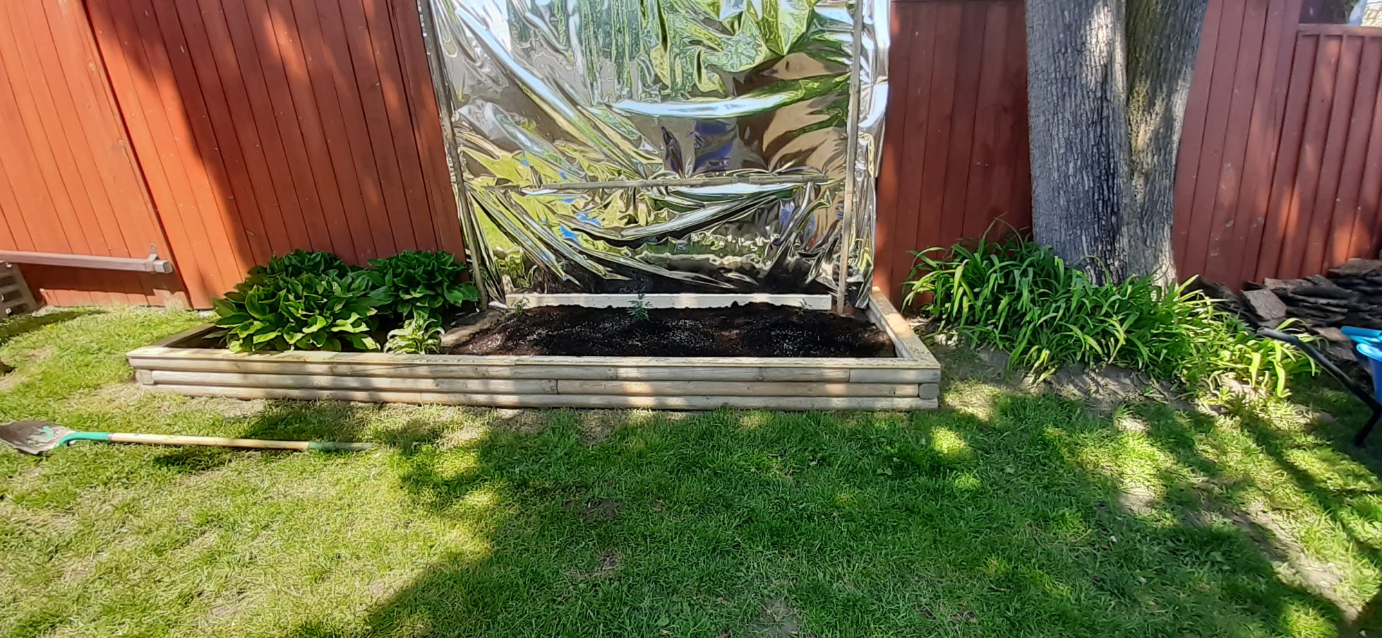 My garden 4