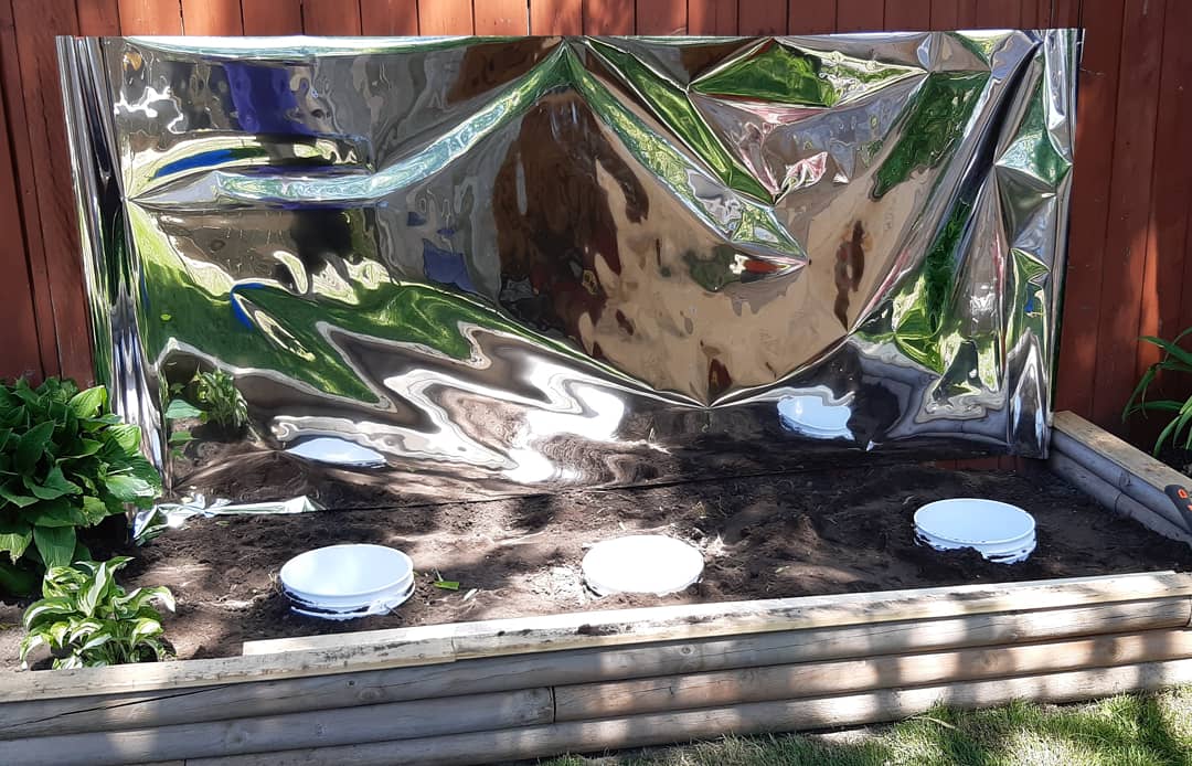 My garden 8
