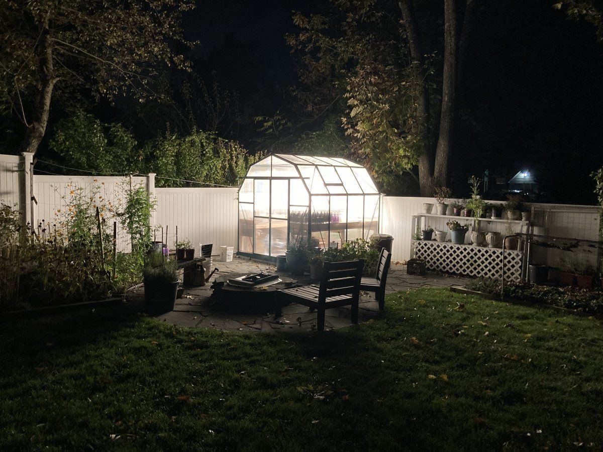 My grow diary first timer here goes 3