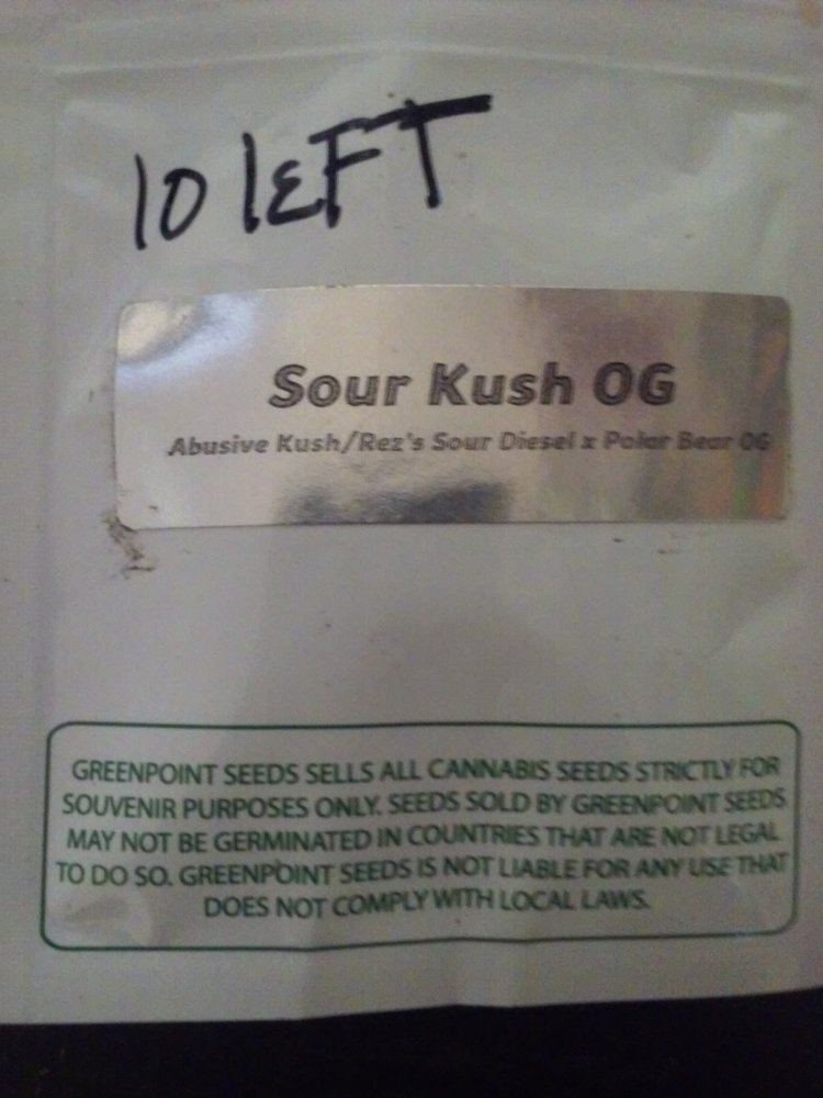 My grow log of sour kush og by greenpoint seeds 3