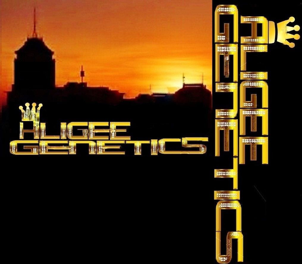 My logo 2012