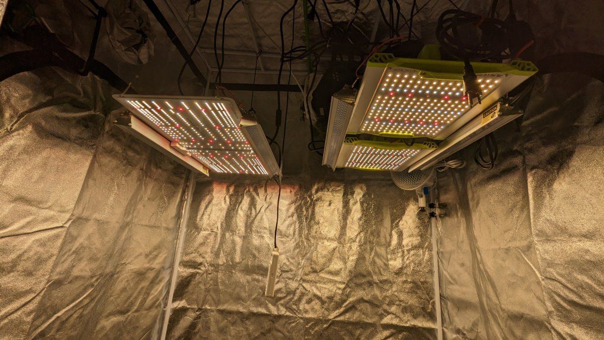 My new fallponic system 4x4 4 plant scrog 5