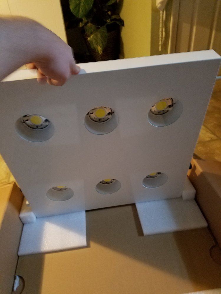 My new light setup is here 3