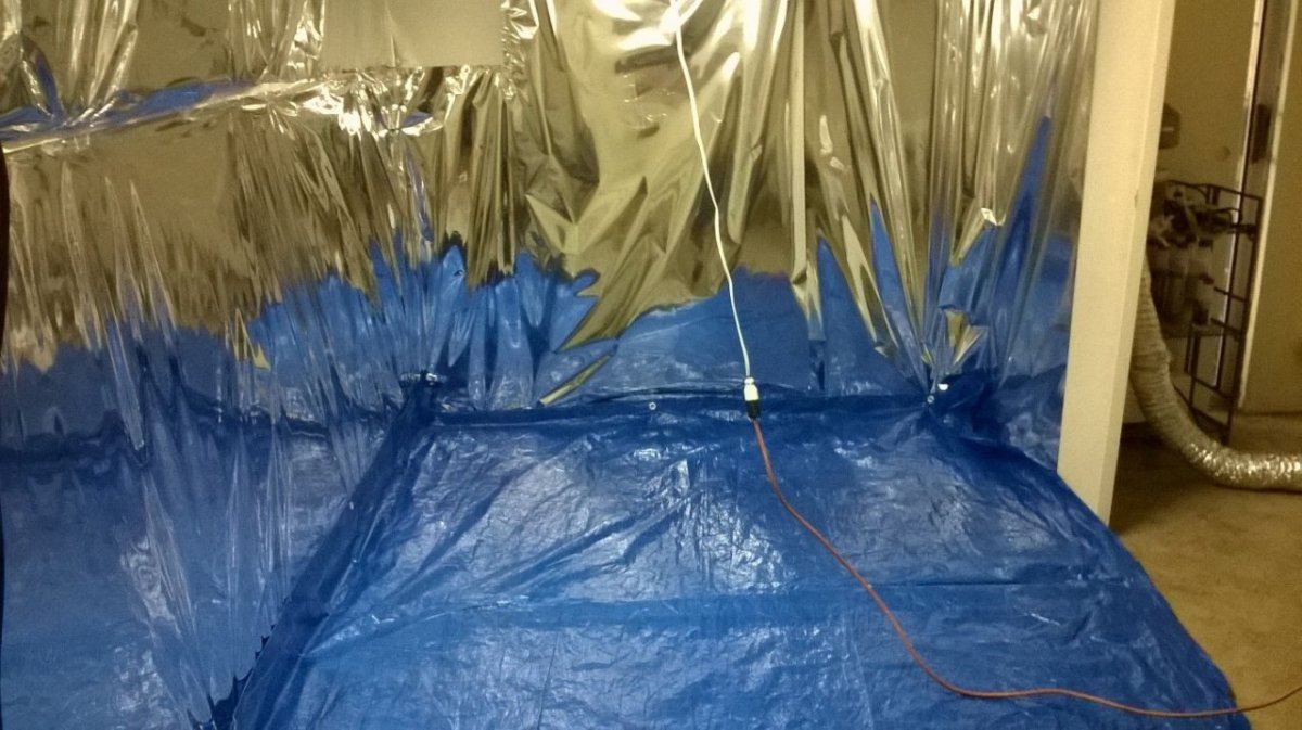 Mylar 2