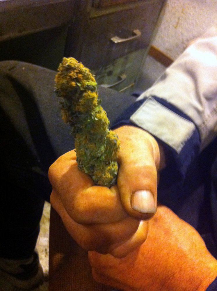 Mypurpleurkle