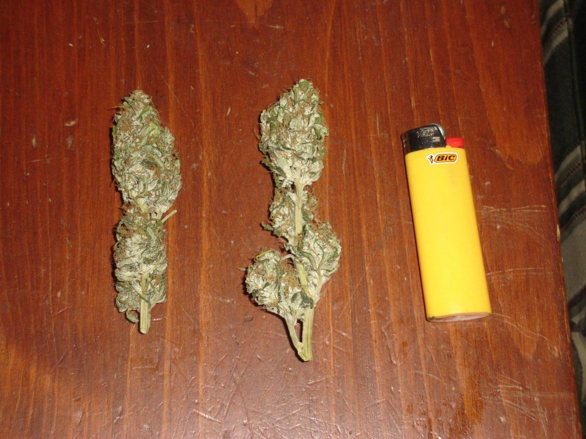 Mystery bud dried