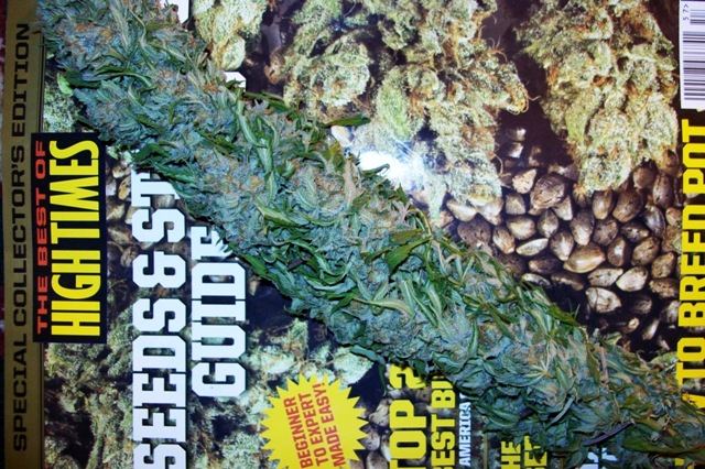 Mystery Bud   