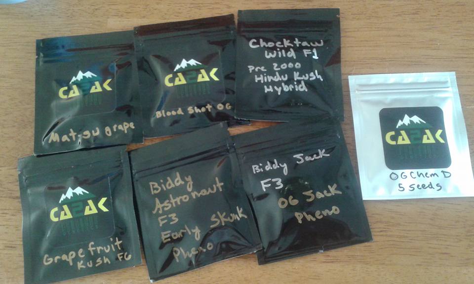 Mystery seeds