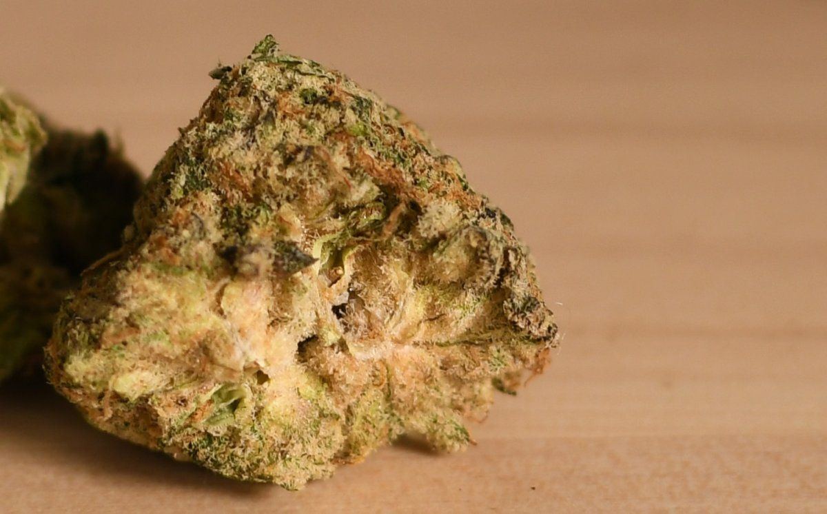 Mysterybud