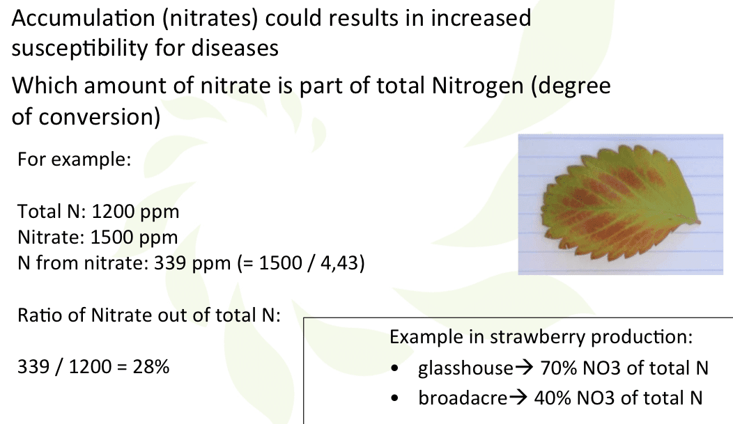 N2