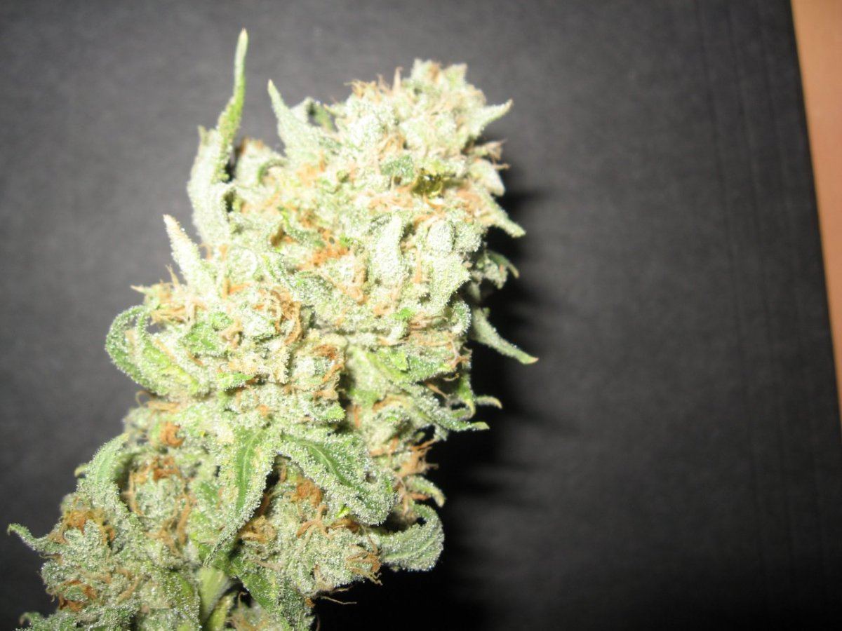 Natural concentrate 3