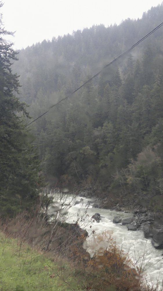 Nature 7