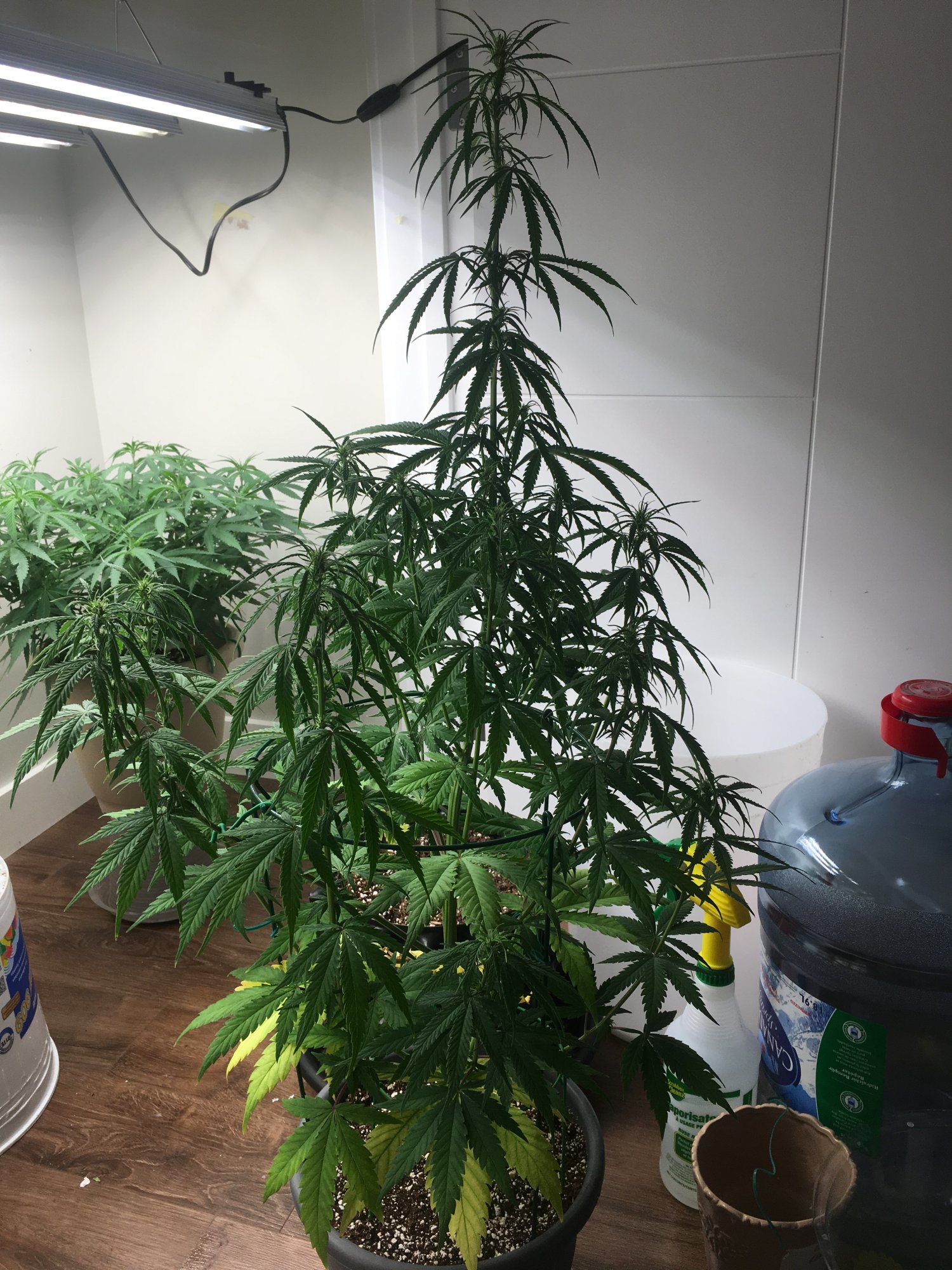 Need advice if this was the right thing to do 4