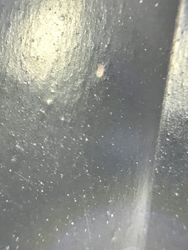 Need help identifying good or bad 3