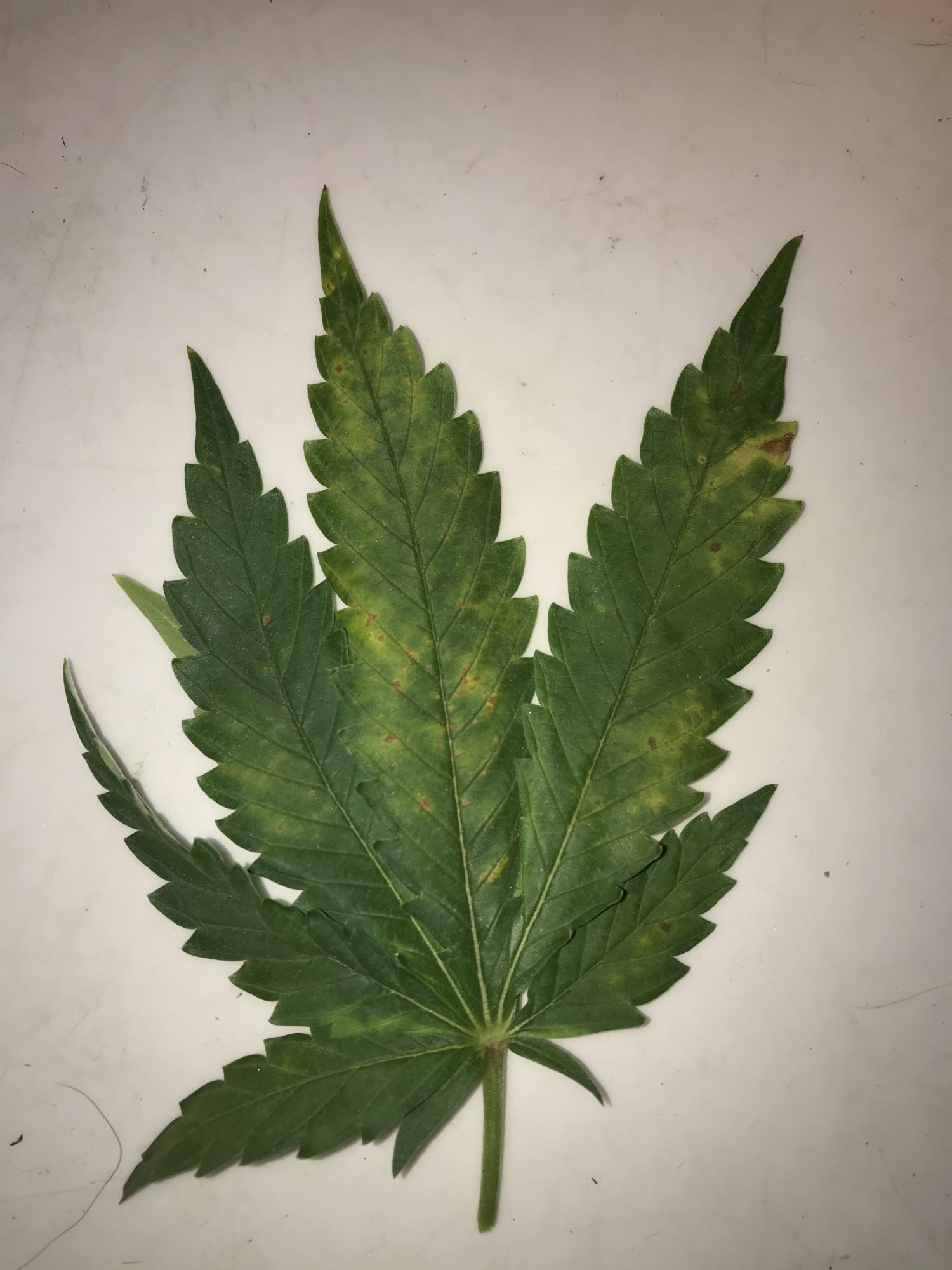 Need help identifying this deficiency 2