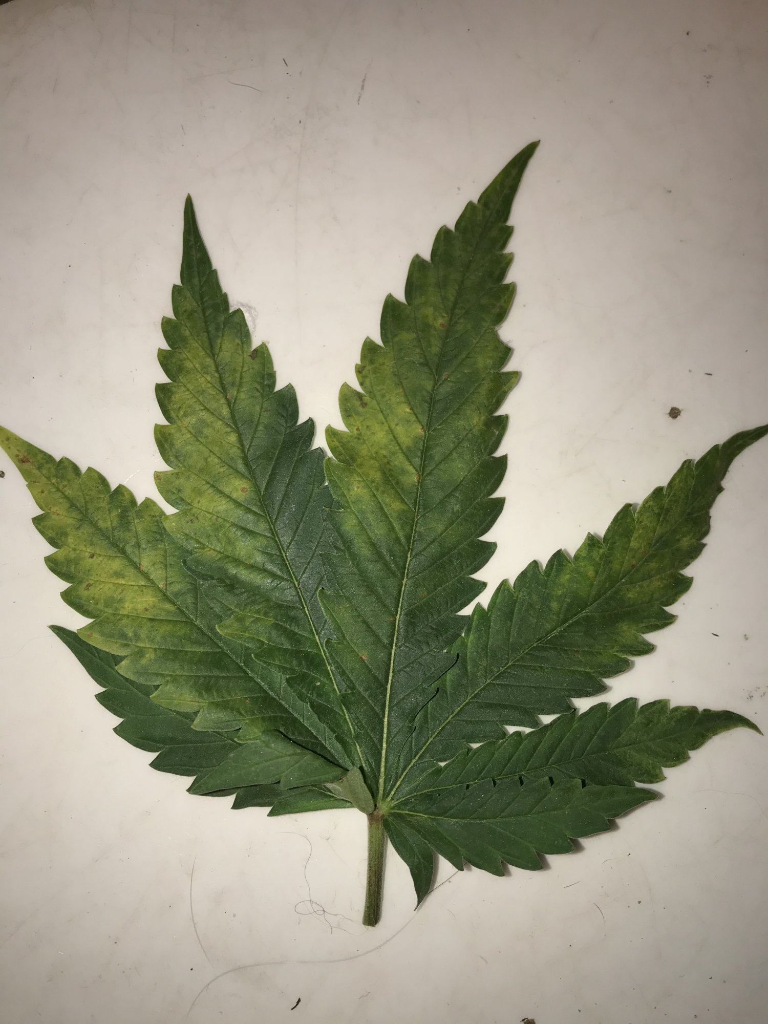 Need help identifying this deficiency