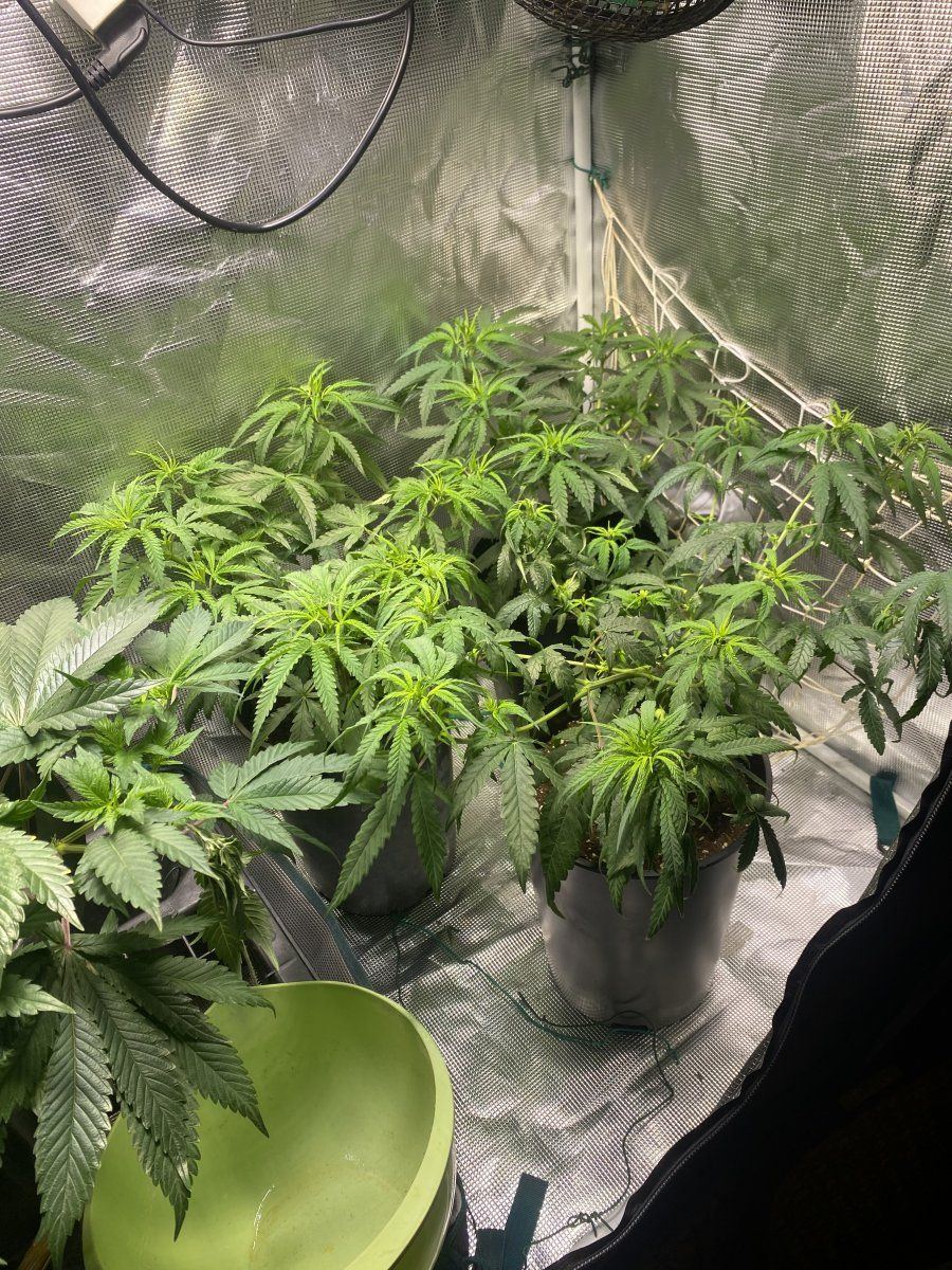 Need help when should i flip 3