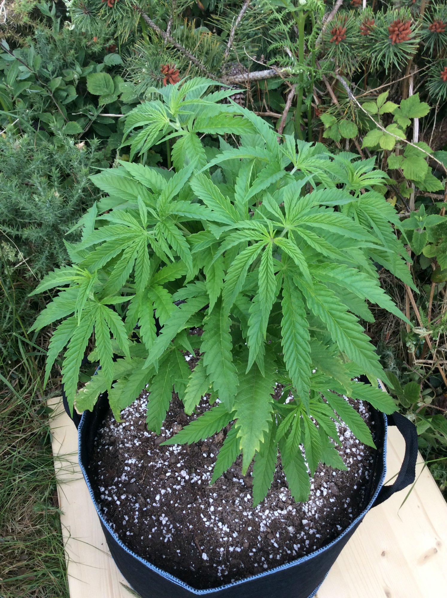 Need some advice 3