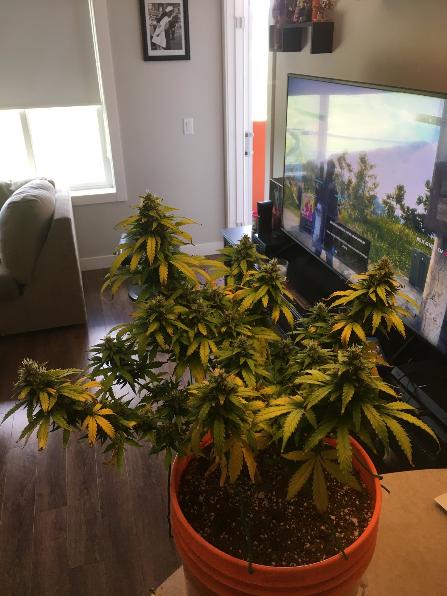 Need some help 6