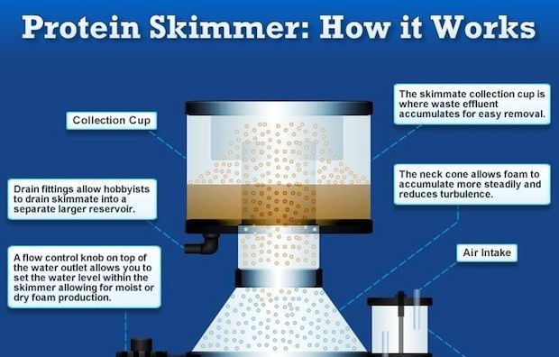 Needle wheel protein skimmer function b