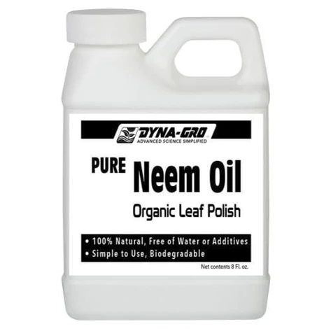NEEM