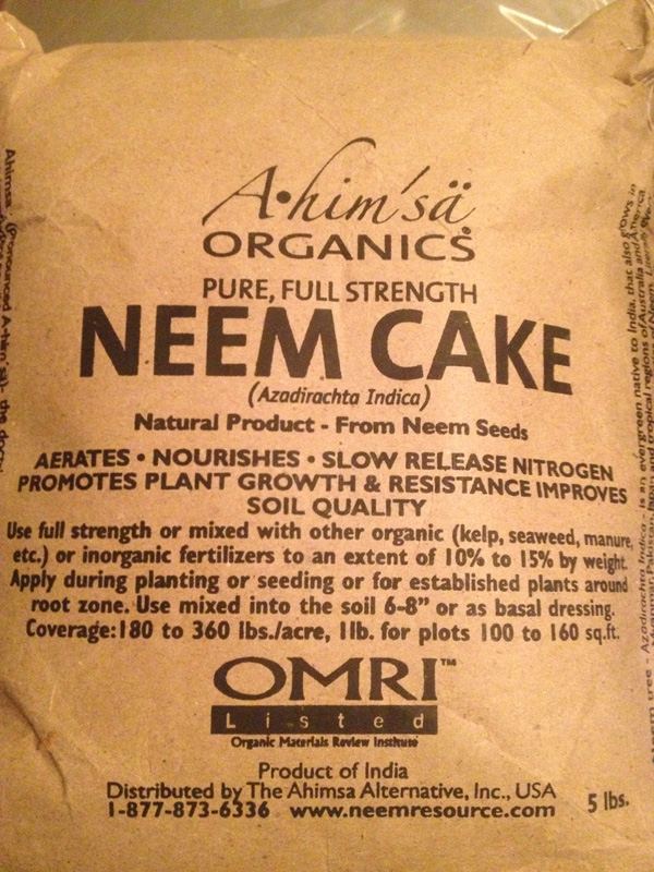 Neem