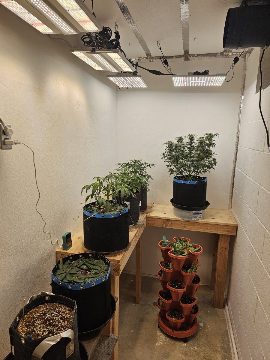 New auto room up and running 4