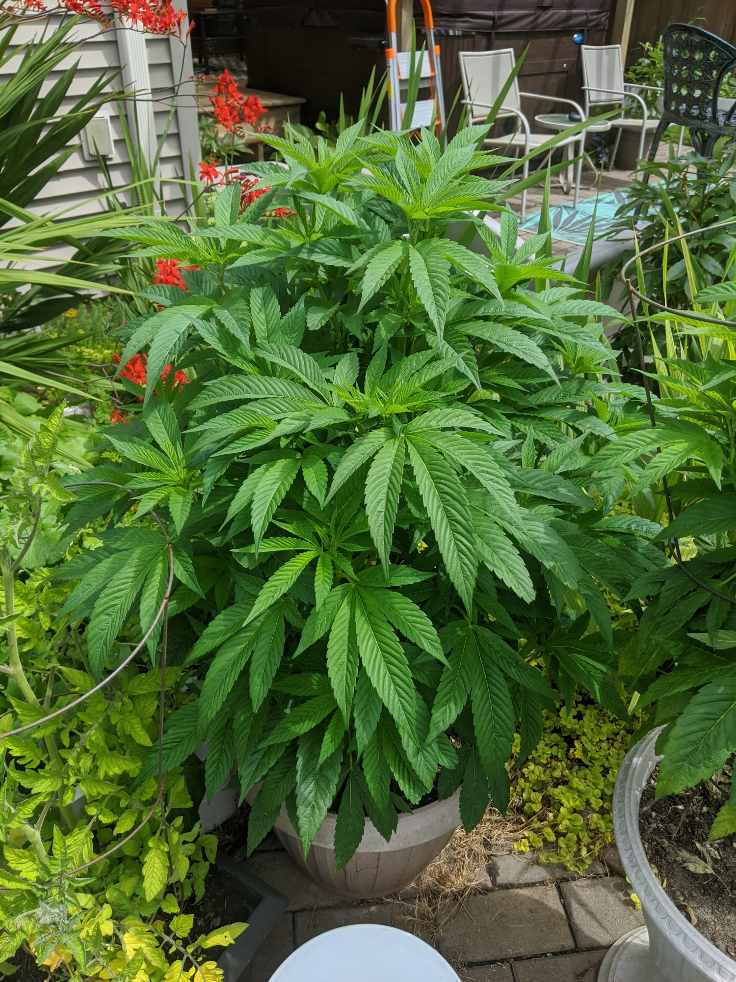 New gower outdoor having some issues 5