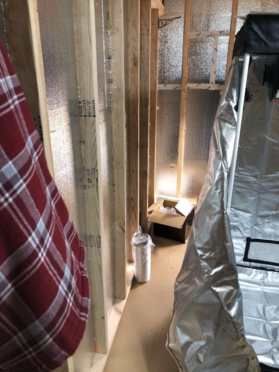 New grow area my first dedicated space 3