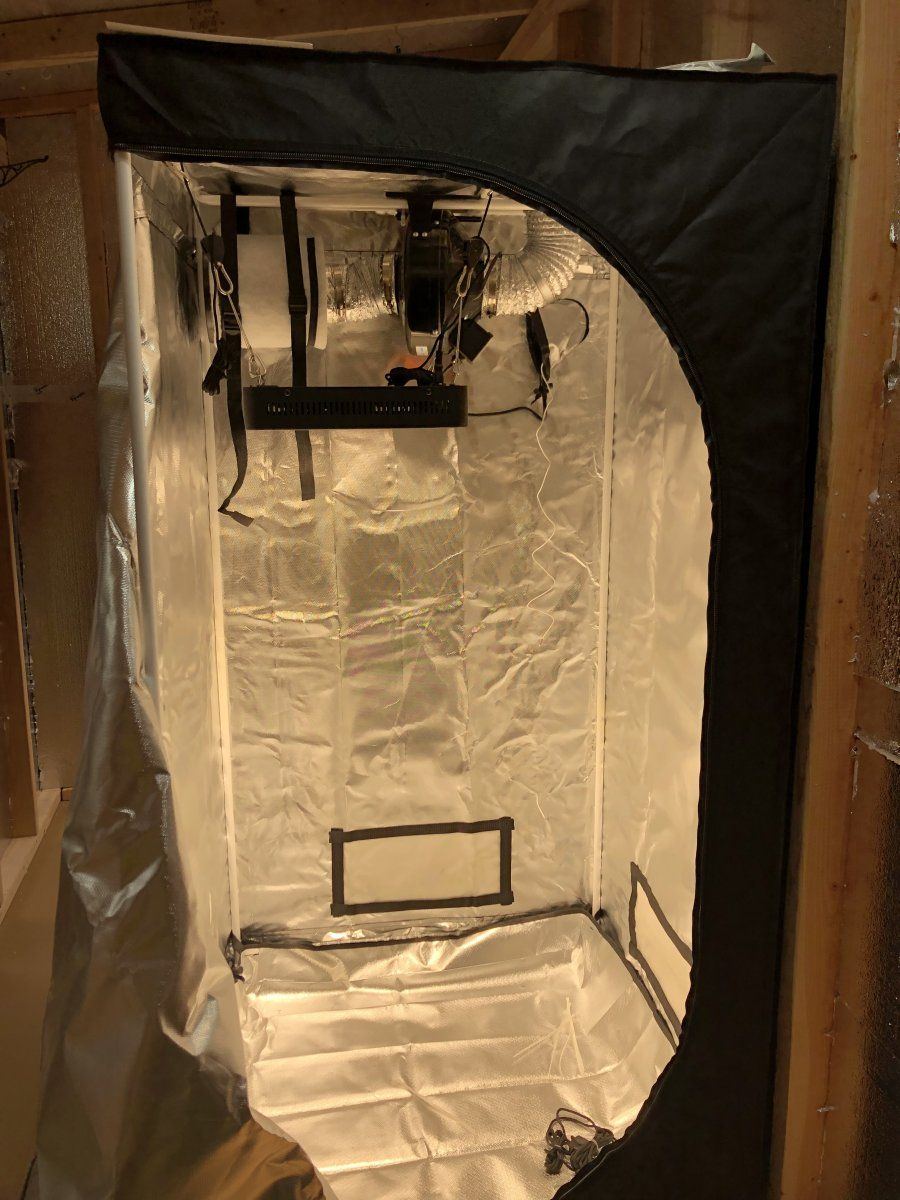 New grow area my first dedicated space 4