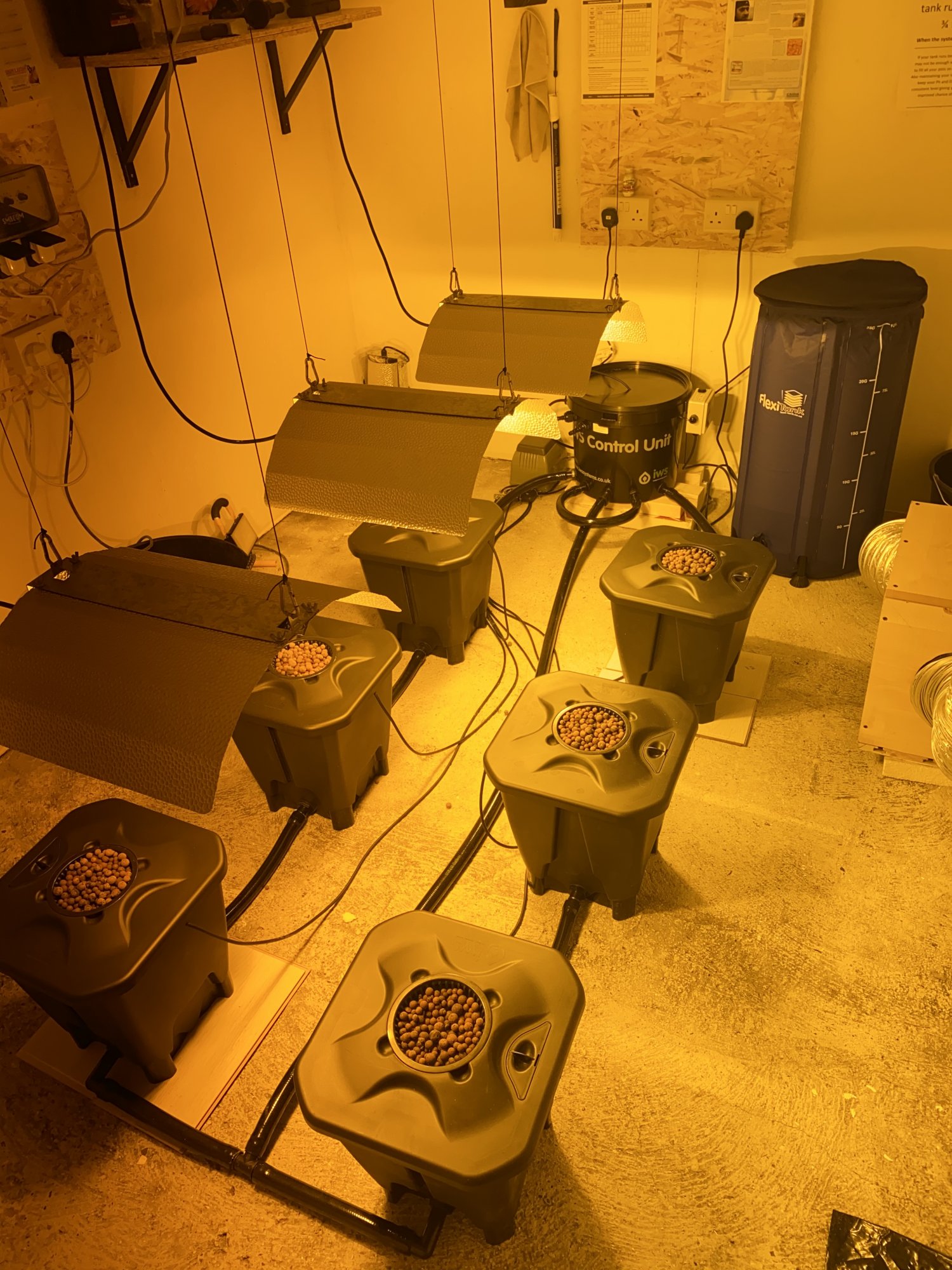 New grow room and rdwc system