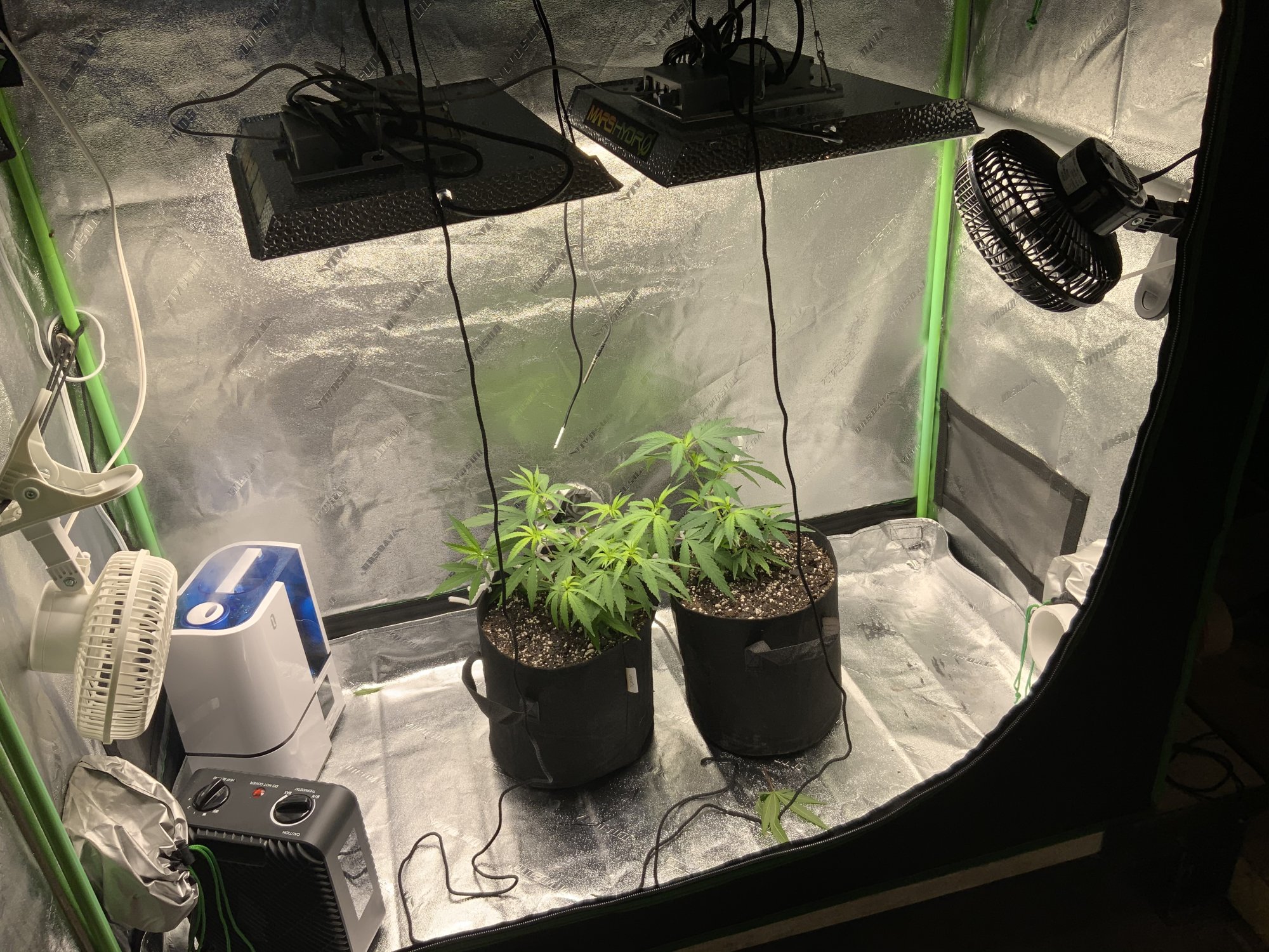 New grower here and need a lot of help 2