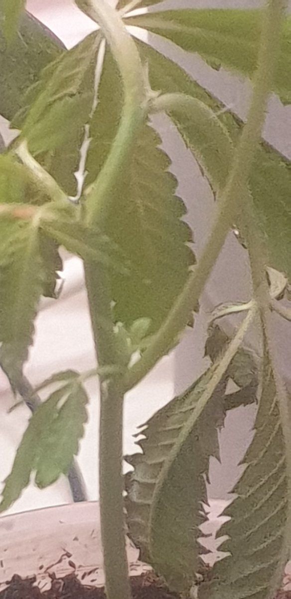 20251106_173142.jpg