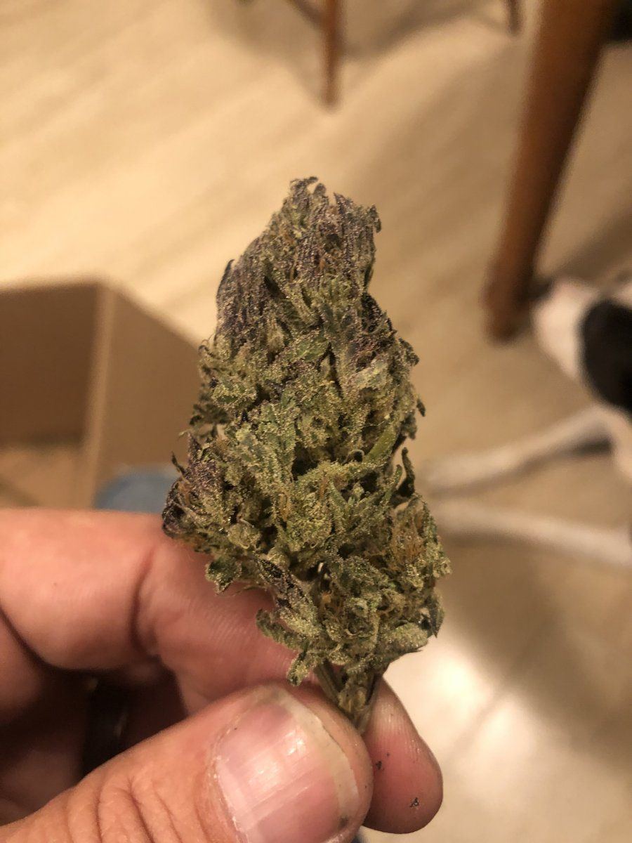 New here what do you think of this og kush 5