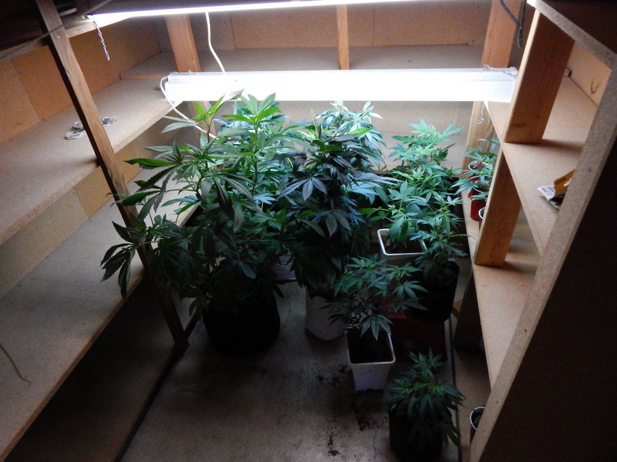 New house 001