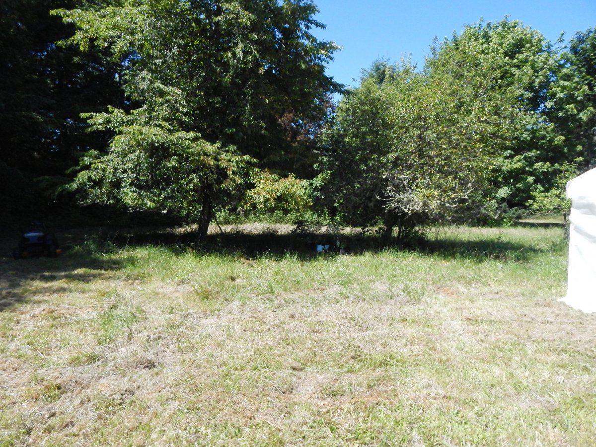 New house 009