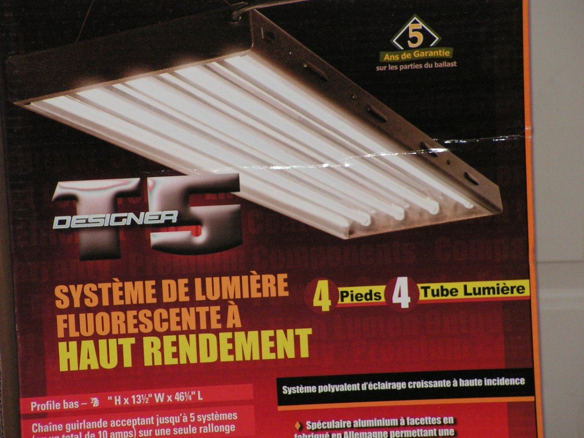 New lights 2