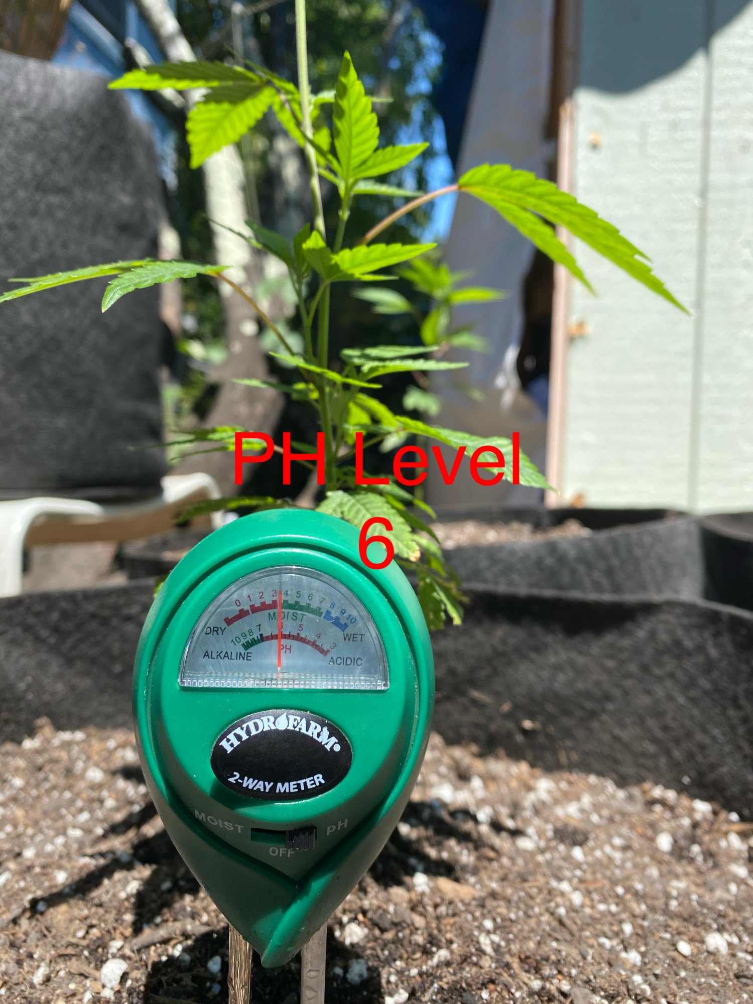 New outdoor grower looking for advice 2