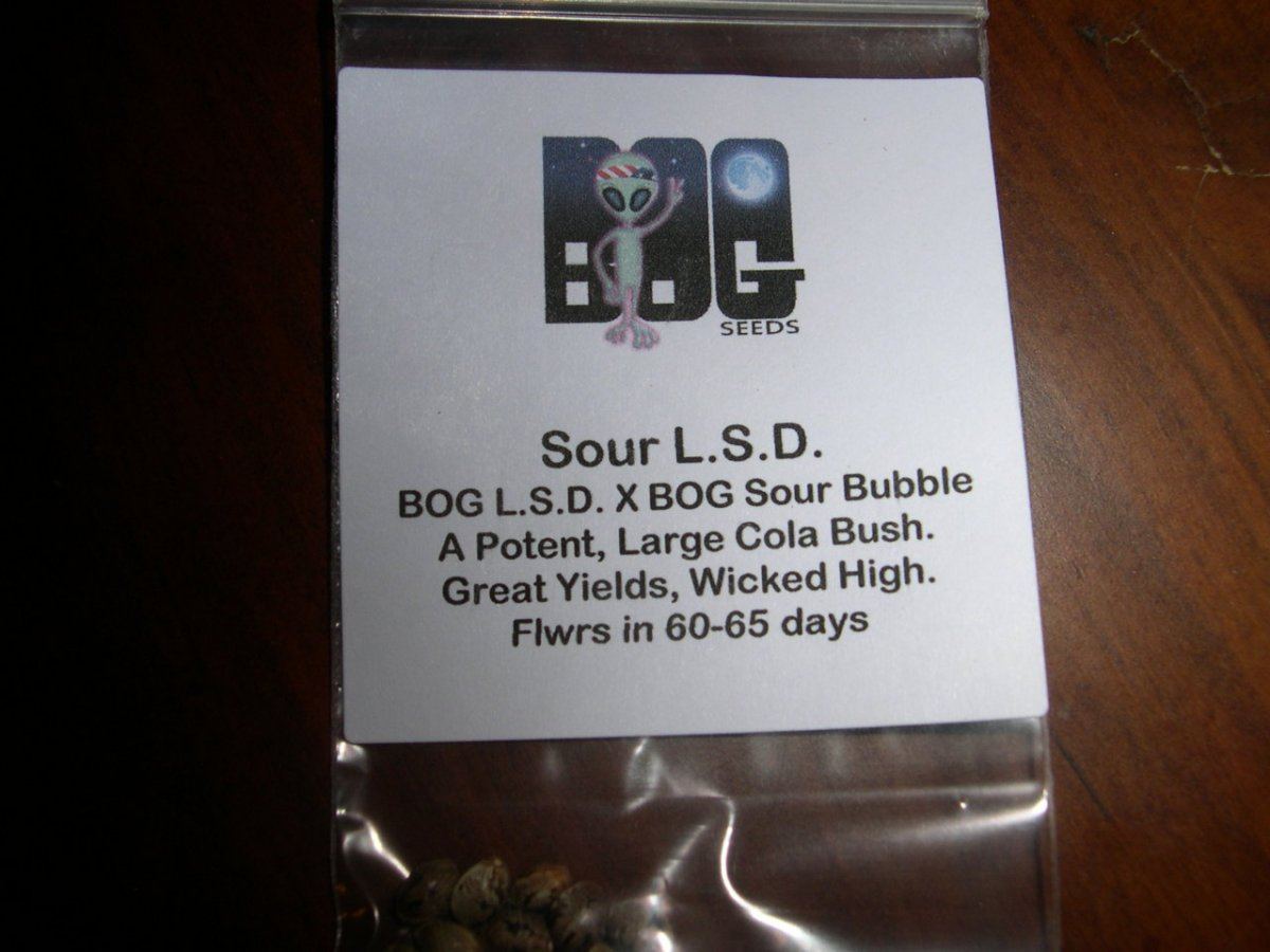 New Seed Labels DSCN5437