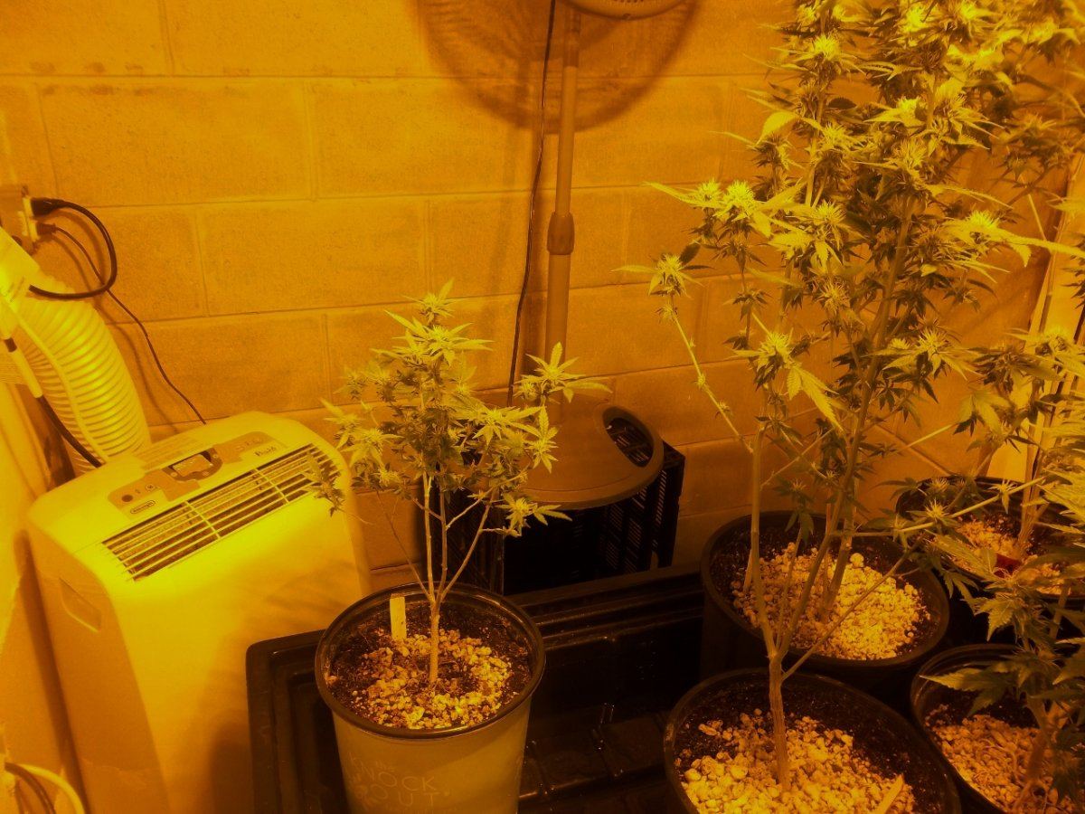 New set up 4